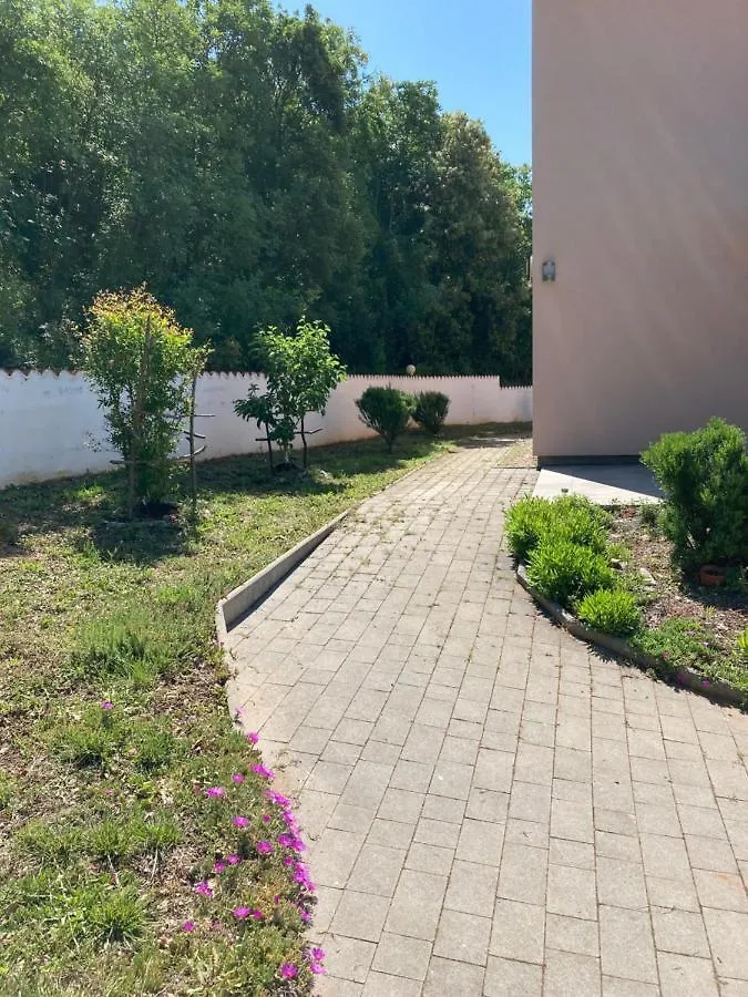 Villa Dijana Viskovići Ferienhaus